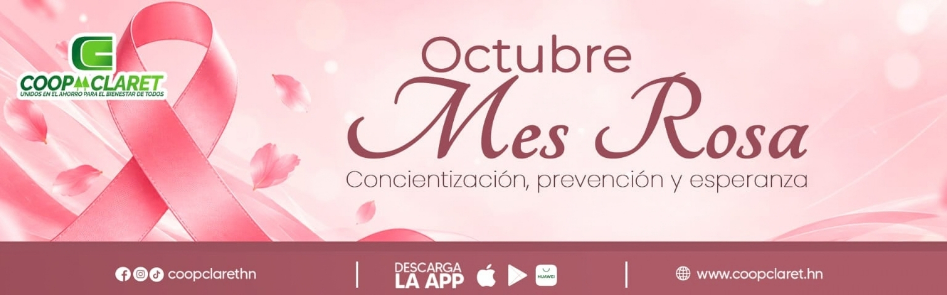 Nuestros Servicios